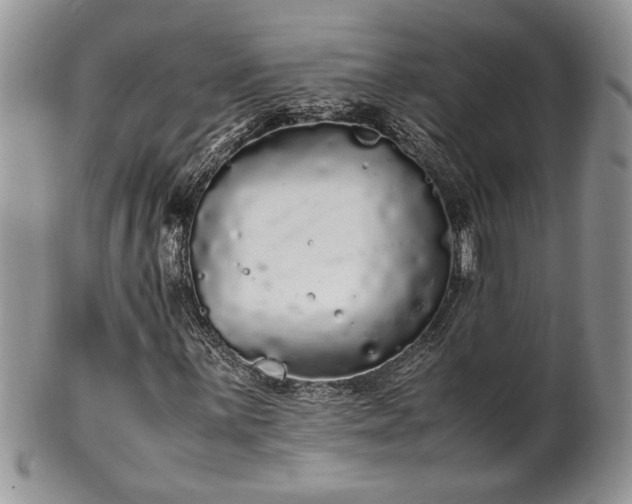 X0000102261059200808011359