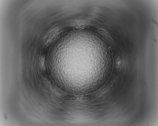 X0000102261060200808011359