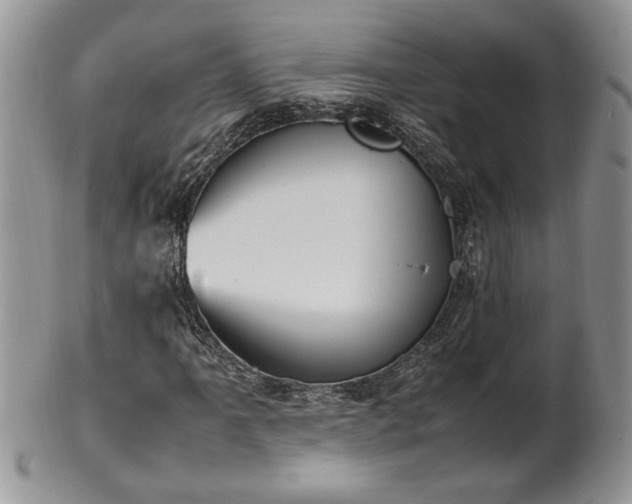 X0000102261061200808011359