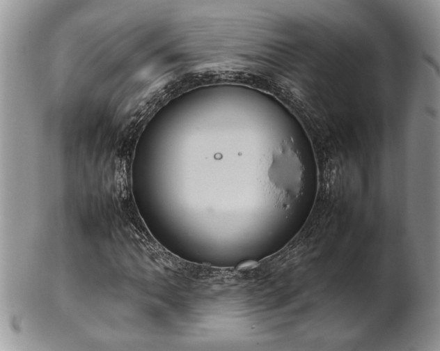 X0000102261062200808011359