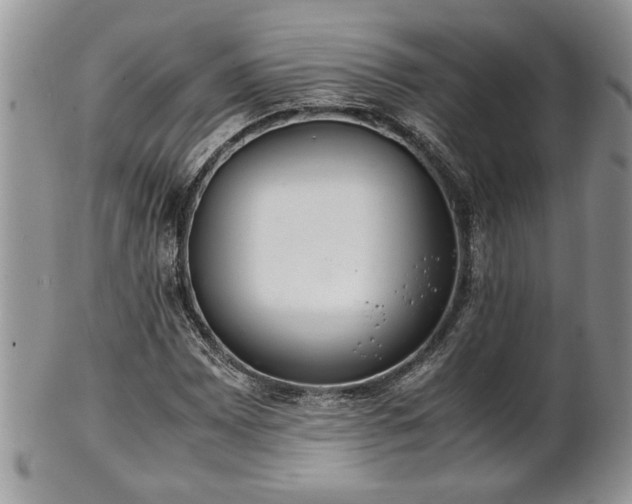 X0000102261065200808011359