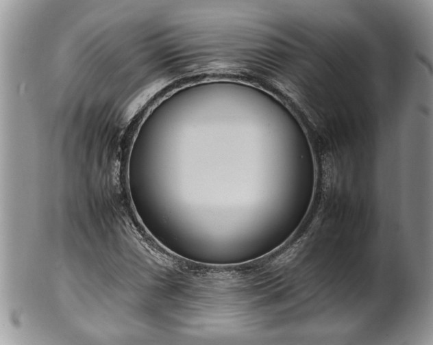 X0000102261066200808011359