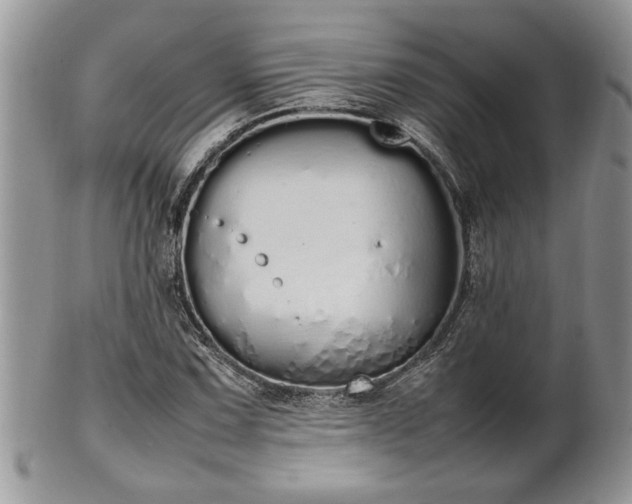 X0000102261067200808011359