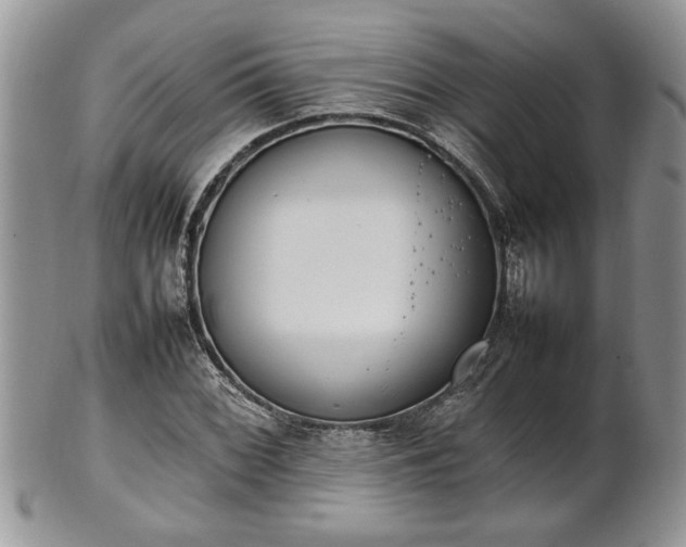 X0000102261068200808011359