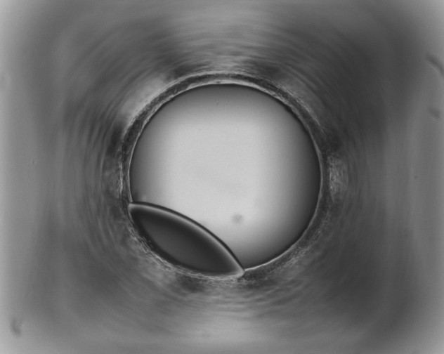 X0000102261069200808011359