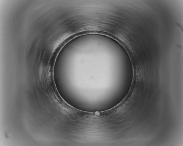 X0000102261070200808011359