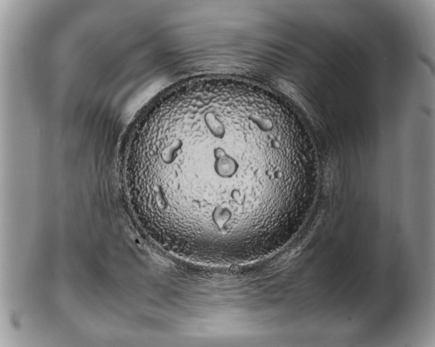 X0000102261071200808011359