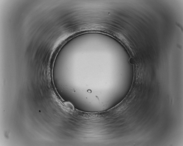 X0000102261072200808011359