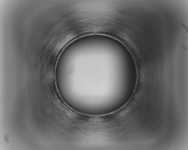 X0000102261073200808011359