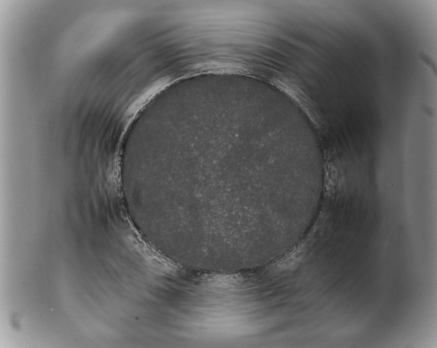 X0000102261074200808011359