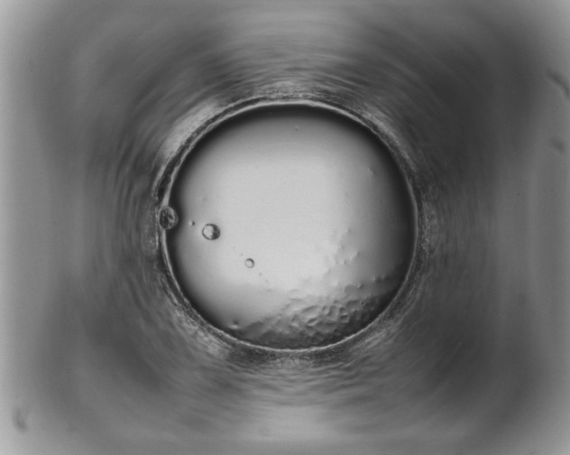 X0000102261075200808011359