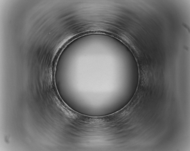 X0000102261076200808011359