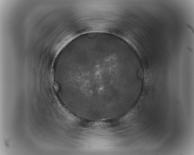 X0000102261077200808011359