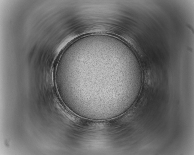 X0000102261078200808011359