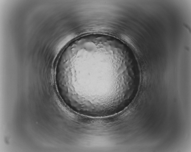 X0000102261079200808011359