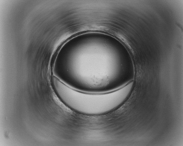 X0000102261080200808011359