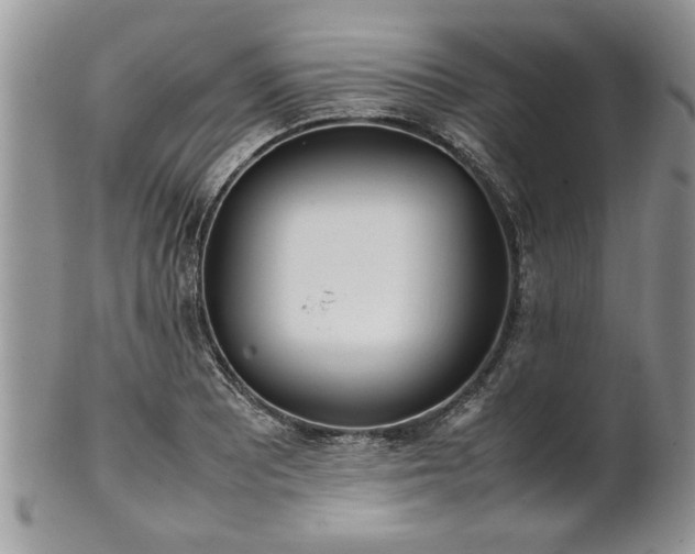 X0000102261081200808011359