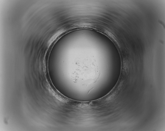 X0000102261082200808011359