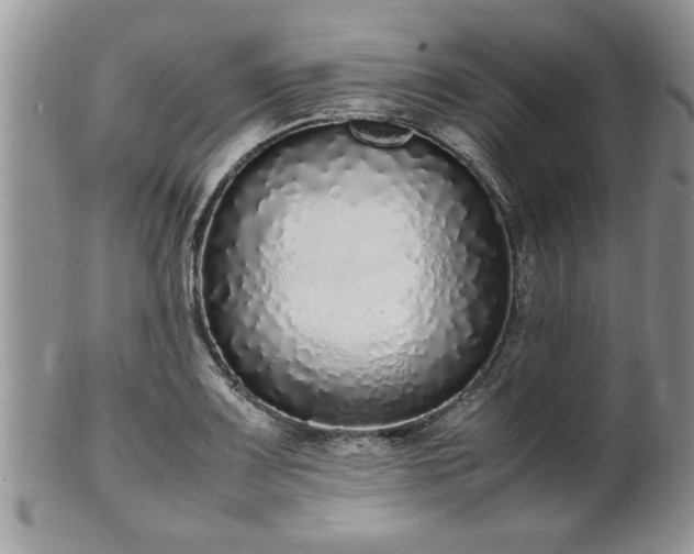 X0000102261083200808011359