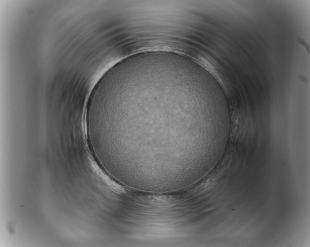 X0000102261084200808011359