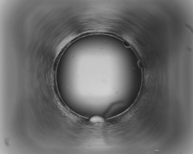 X0000102261085200808011359