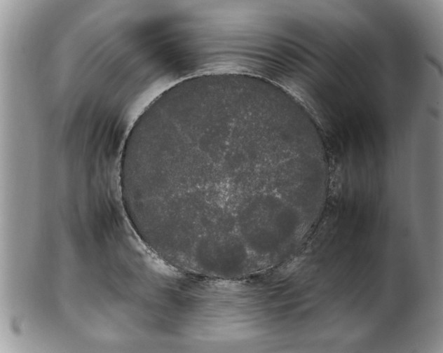 X0000102261086200808011359