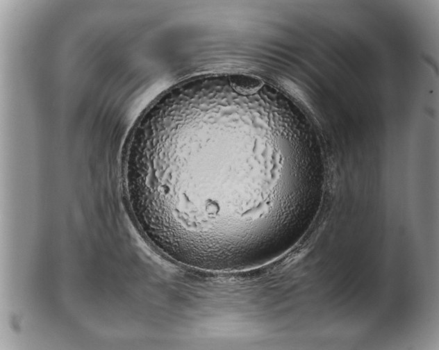 X0000102261087200808011359