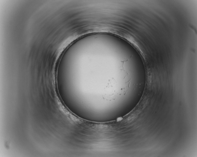 X0000102261088200808011359