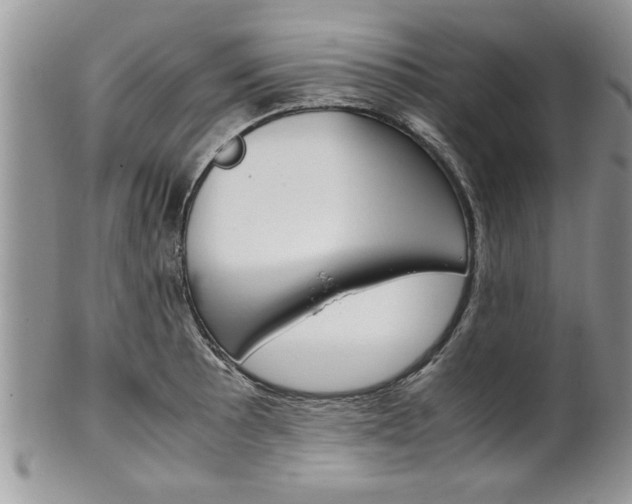 X0000102261089200808011359