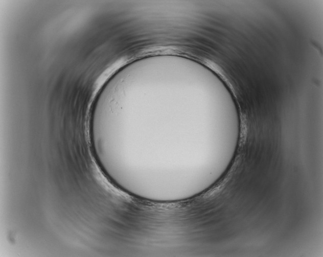 X0000102261090200808011359