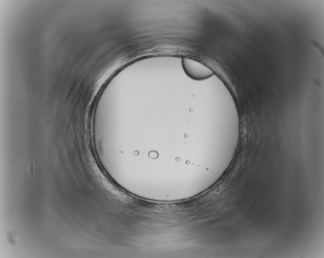 X0000102261091200808011359