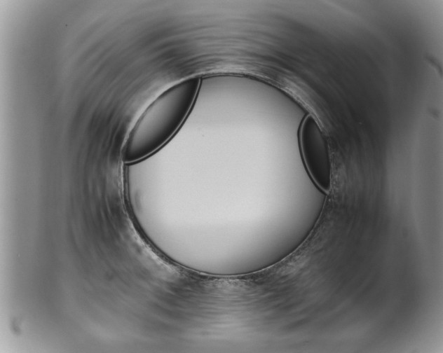 X0000102261092200808011359