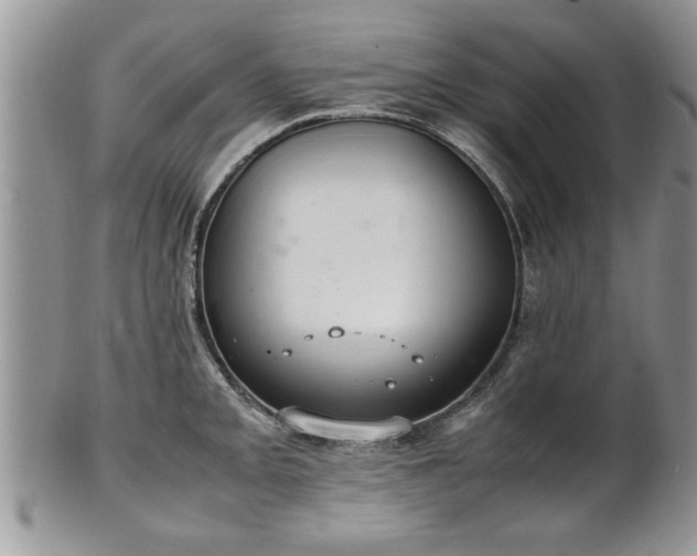 X0000102261093200808011359