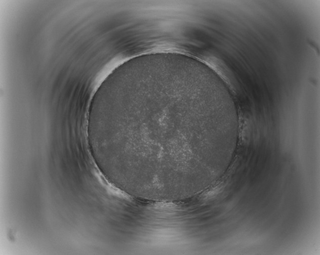 X0000102261094200808011359