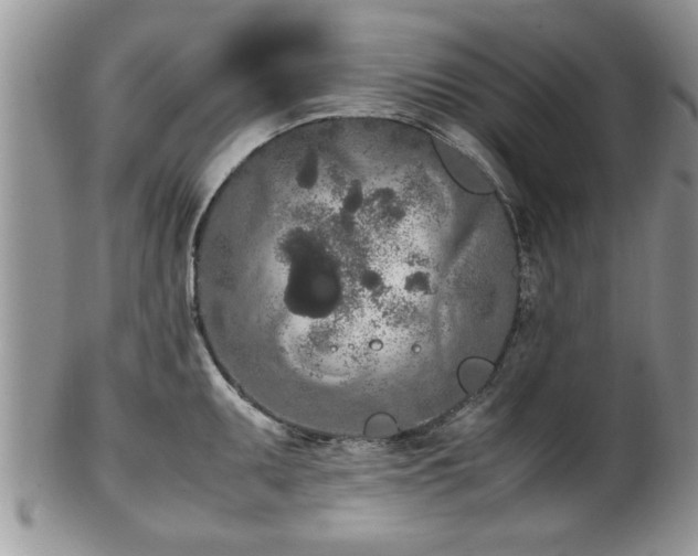 X0000102261095200808011359