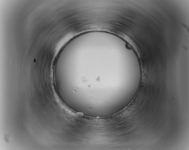 X0000102261096200808011359