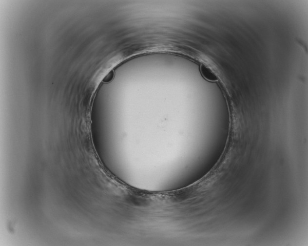 X0000102261097200808011359