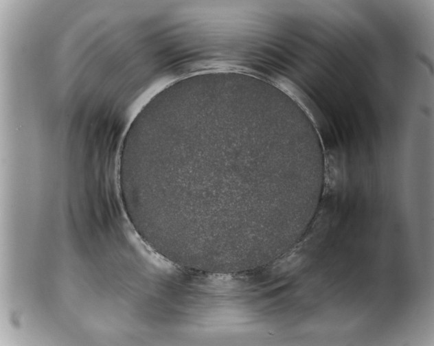 X0000102261098200808011359