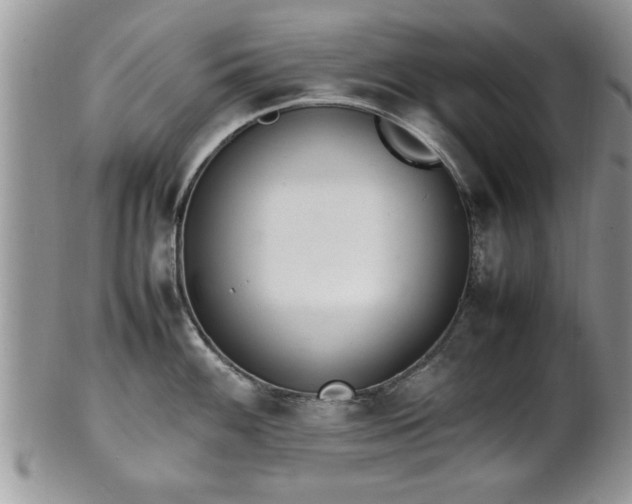 X0000102261100200808011359