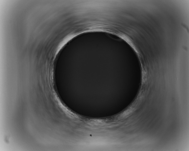 X0000102261101200808011359