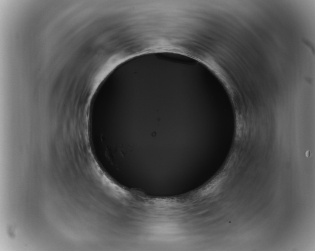 X0000102261102200808011359