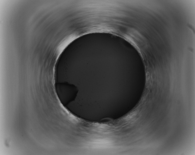 X0000102261103200808011359