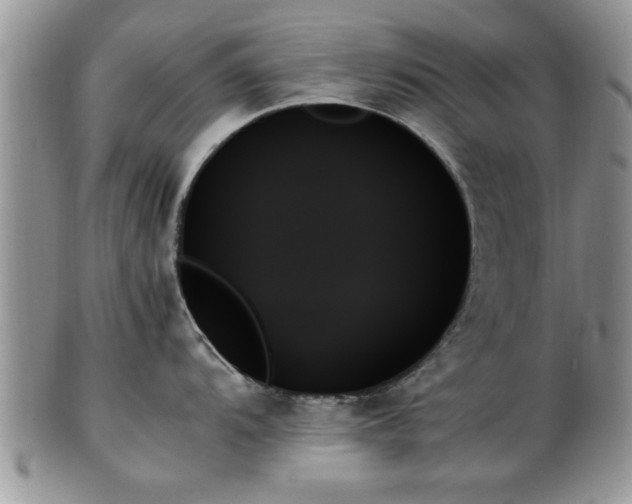 X0000102261104200808011359