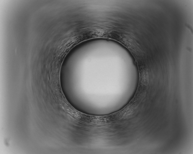 X0000102261105200808011358