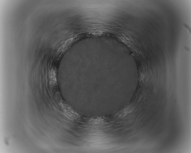 X0000102261106200808011358