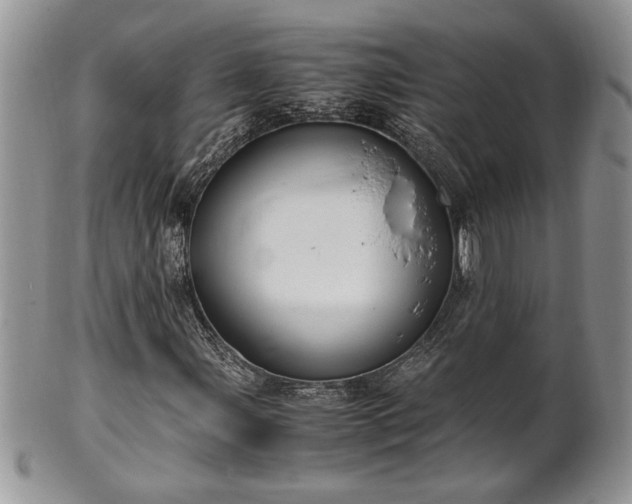 X0000102261107200808011358