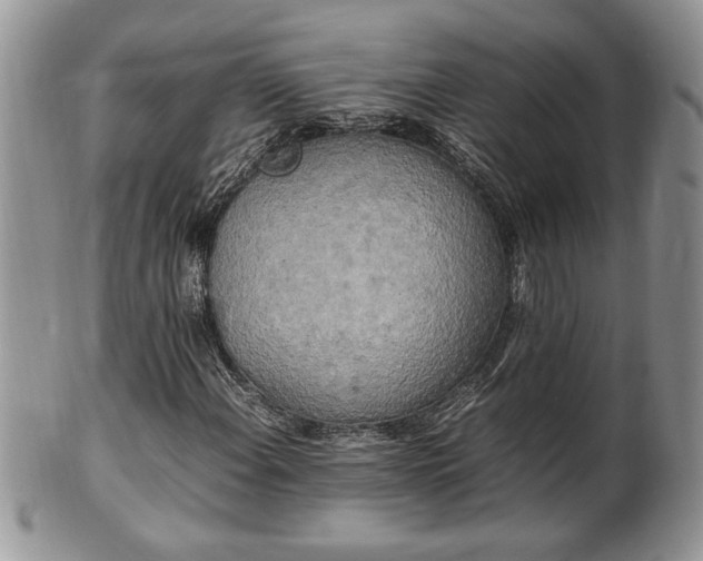 X0000102261108200808011358