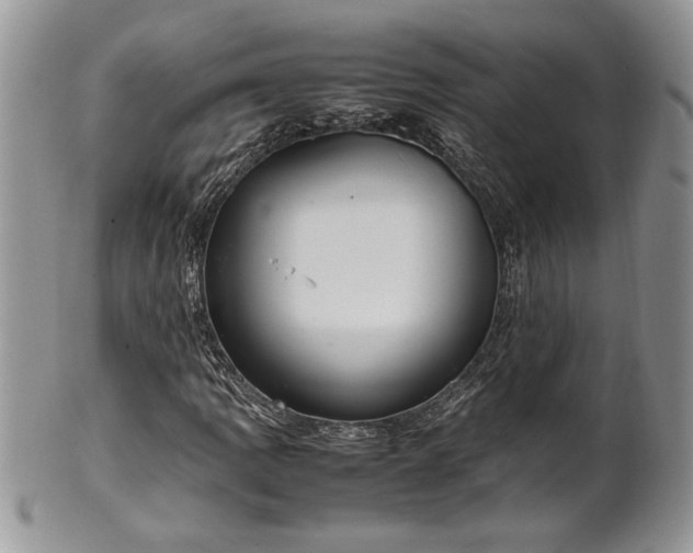 X0000102261109200808011358