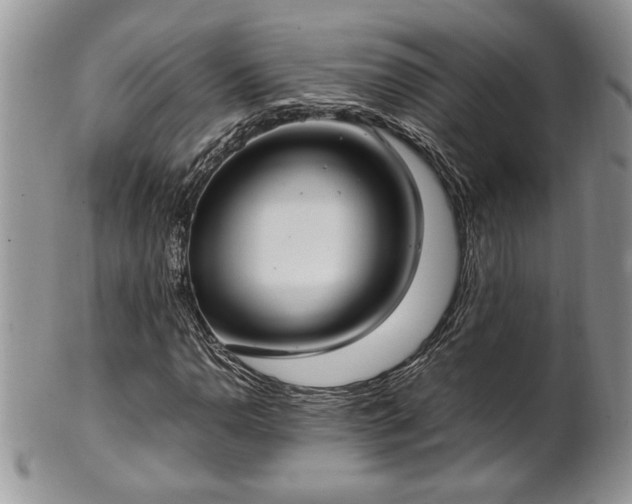 X0000102261110200808011358