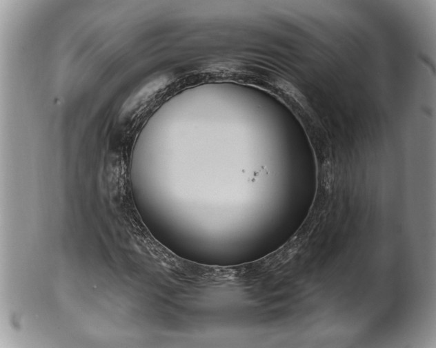 X0000102261111200808011358